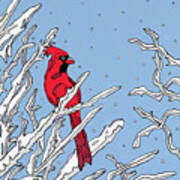 Cardinal Winter Poster