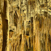 Carlsbad Caverns Endless Stalagmites Poster