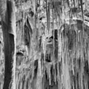 Carlsbad Caverns Endless Stalagmites Black And White Poster