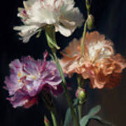 Carnations I Poster