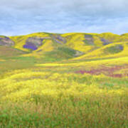 Carrizo Plain - Prismatic Pastures Poster