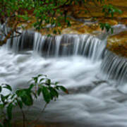 Cascading Creek In Forest Poster