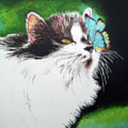 Cat And Butterfly Poster
