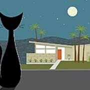 Cat Looking At Mid Century Modern House Poster
