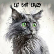 Cat Shit Crazy Poster