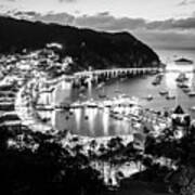 Catalina Island At Night Black And White Photo Poster