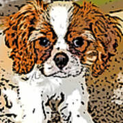 Cavalier Puppy Poster