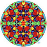 Cethosia Butterfly Mosaic Mandala Poster