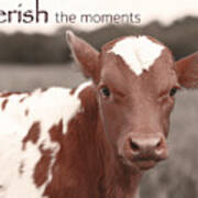 Cherish The Moments - Jewels Poster
