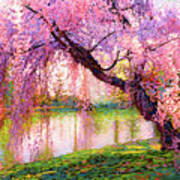 Cherry Blossom Beauty Poster