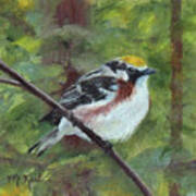 Chestnut-sided Warbler Poster