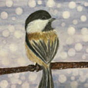 Chickadee In Snow Poster