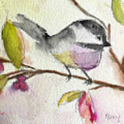 Chickadee Perched In A Tree Poster