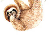 Chilly Sloth Poster