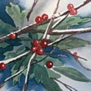 Christmas Berries Poster