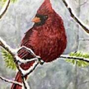 Christmas Cardinal Poster