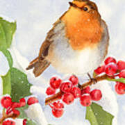 Christmas Robin Poster