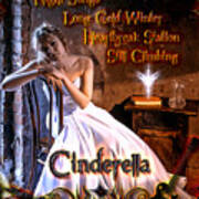 Cinderella Discography Poster