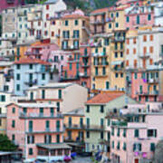 Cinque Terre Houses, Italy Poster