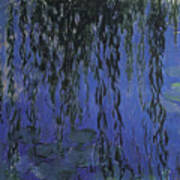 Claude Monet  Water Lilies And Weeping Willow Branches Poster