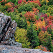 Cliff Edge And Fall Foliage #3788 Poster