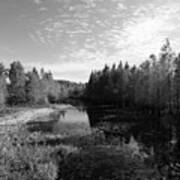 Cliff Stephens Park Wetland In Black And White Poster