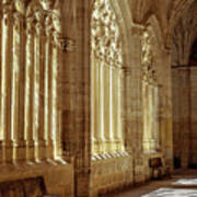 Cloister Of Segovia Cathedral Poster