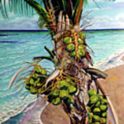 Coconuts On Beach Poster