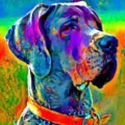 Colorful Great Dane Portrait - Digital Painting Poster