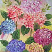 Colorful Hydrangeas Poster