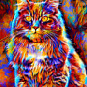 Colorful Maine Coon Cat Sitting - Digital Painting Poster