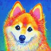 Colorful Pomeranian Portrait - Sunshine Poster