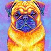 Colorful Rainbow Pug Dog Portrait Poster