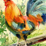 Colorful Rooster Poster