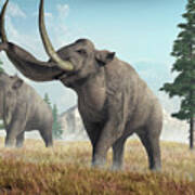 Columbian Mammoths Poster