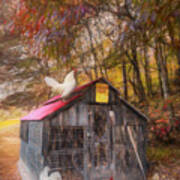 Country Chicken Coop Oil Painting Poster
