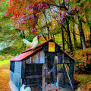 Country Chicken Coop Painting Poster