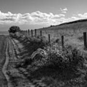 Country Lane At Ebey's Landing Poster