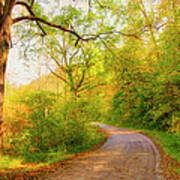 Country Road In Autumn Poster