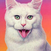 Crazy White Cat Poster