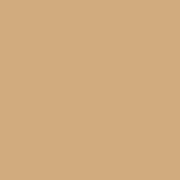 Creamy Caramel Brown Solid Color Pairs Sherwin Williams New Colonial Yellow Sw 2853 Poster