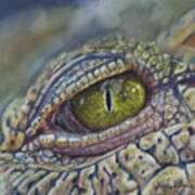 Crocodile Eye Study Poster