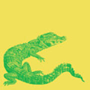 Crocodile In Green And Yellow Poster