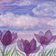 Crocuses And Clouds Poster
