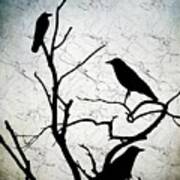 Crow Birds On Tree Bird 91 Poster