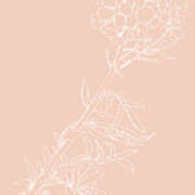0062-cuckoo-flower Blush Poster