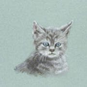 Cute Little Cat Pastel Painting Poster