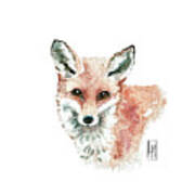 Cute Red Fox Poster