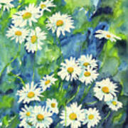 Daisies Watercolor Painting Poster