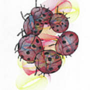 Dancing Lady Beetles Poster